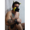 Breedwell Masque Poundtown Pup Breedwell Noir-Jaune